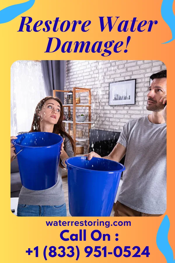 water restoration National Water Damage Contractors Greenbrier