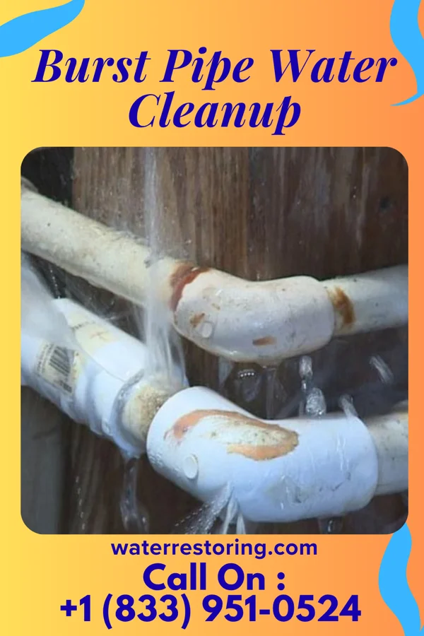 Burst Pipe Water Cleanup in Greenbrier, AR